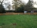 Picture-009
