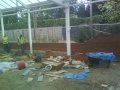 wilmslow-garden-centre-12