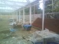 wilmslow-garden-centre-13