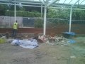 wilmslow-garden-centre-14